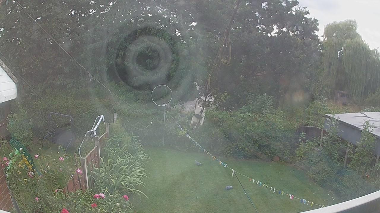 20260819_161803_cam1.jpg