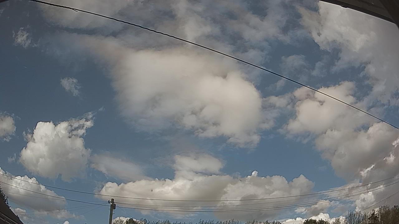 20260819_161804_cam2.jpg