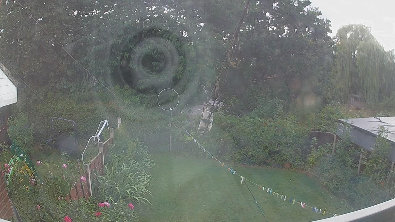 20260819_163701_cam1.jpg