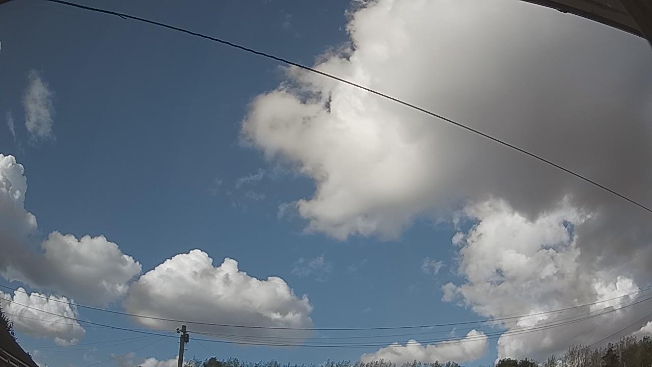 20260819_163702_cam2.jpg