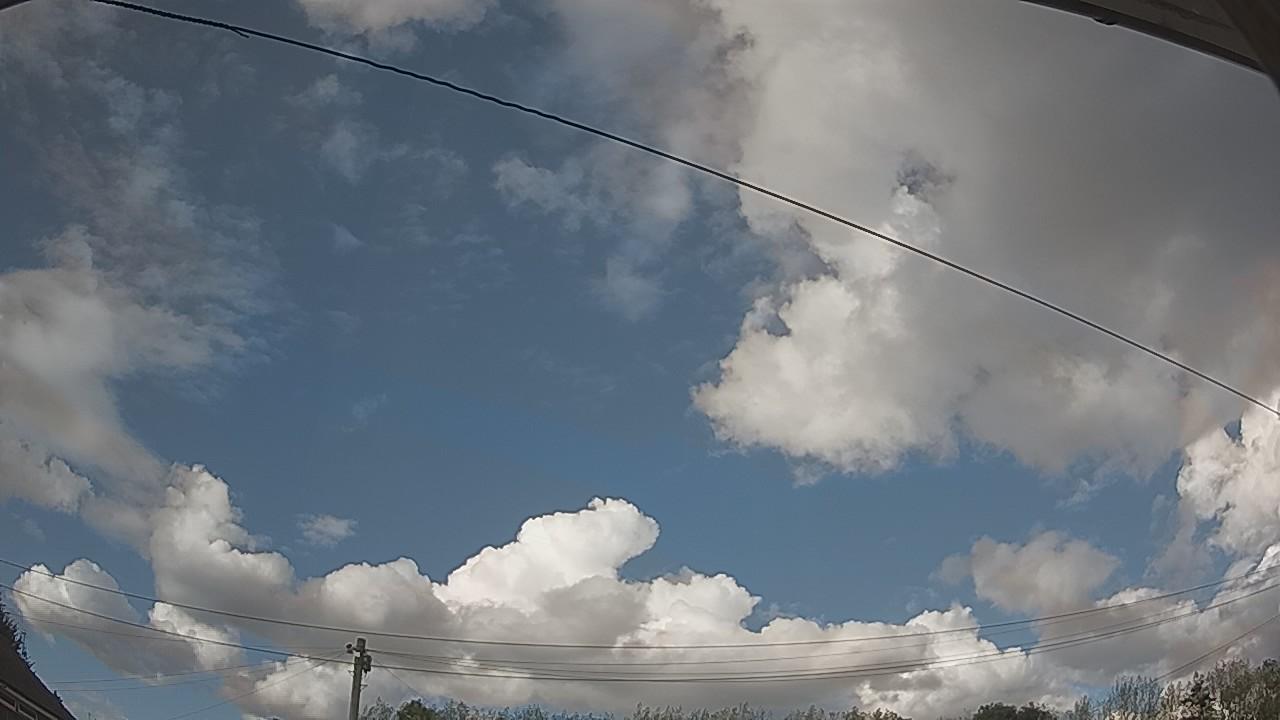 20260819_164444_cam2.jpg