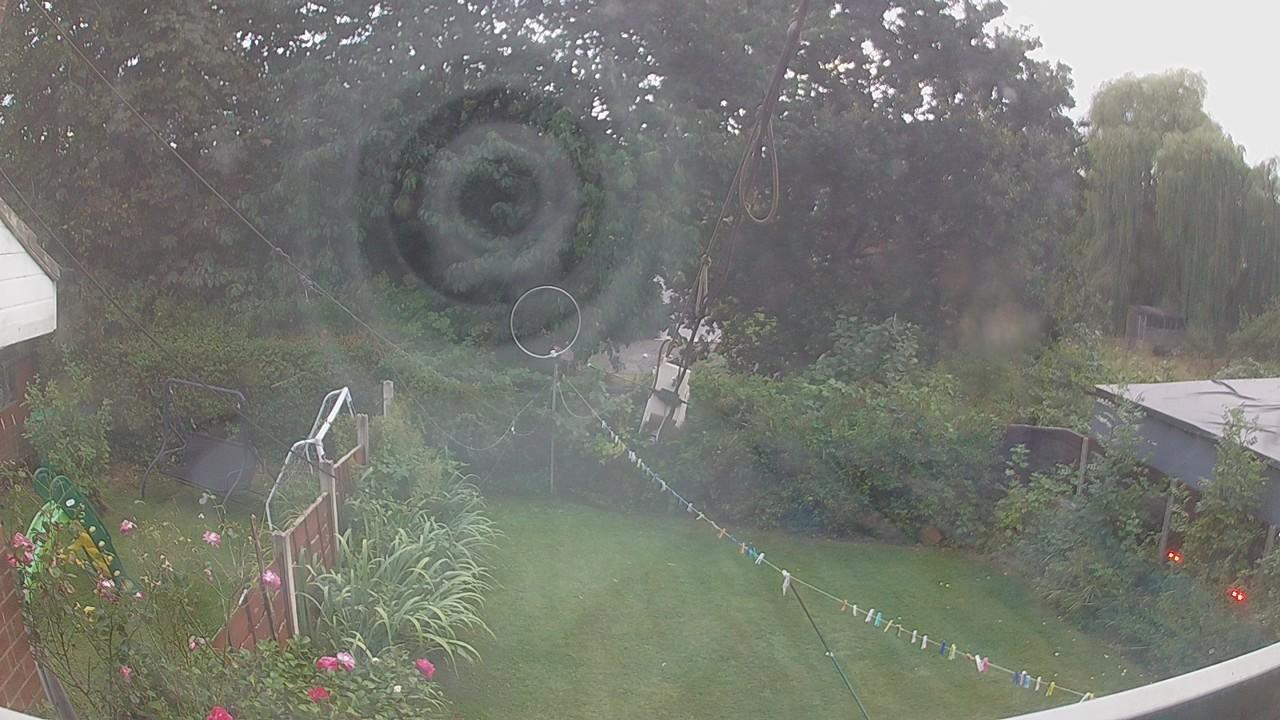 20260819_185649_cam1.jpg