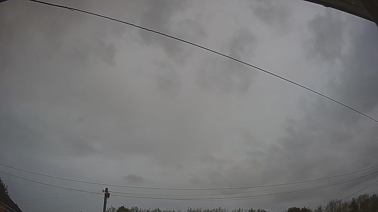 20260819_191039_cam2.jpg