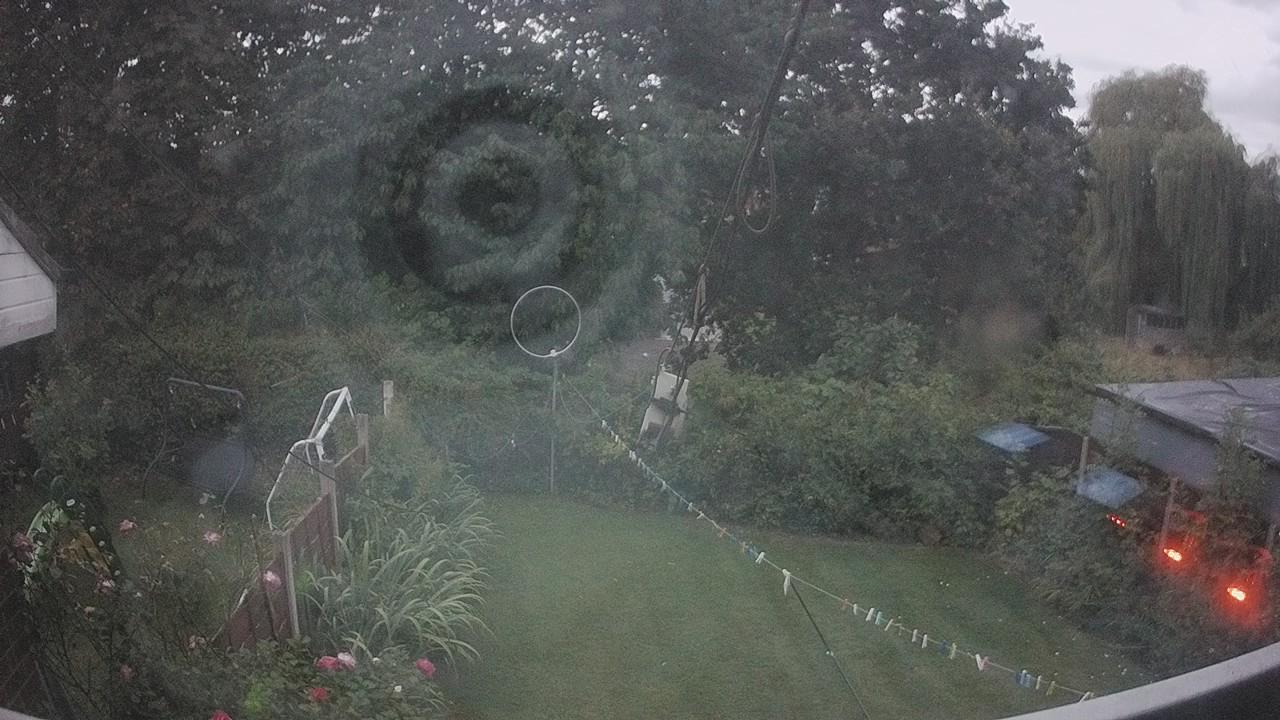 20260819_194724_cam1.jpg