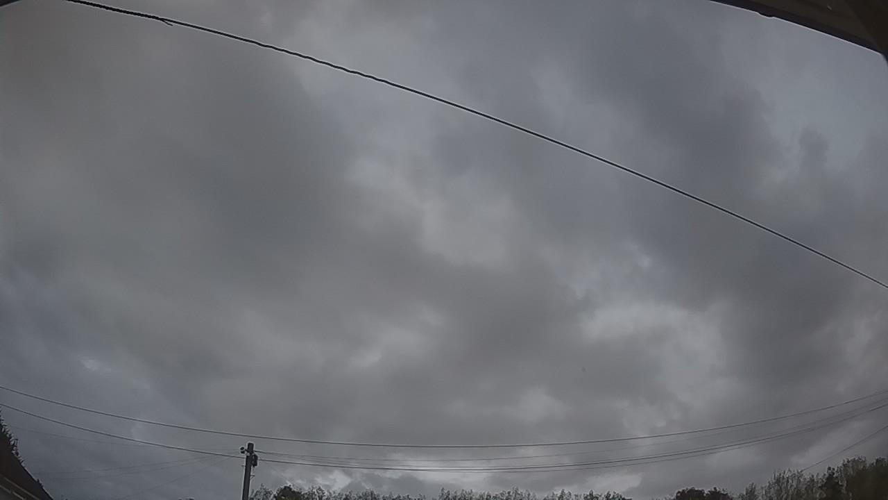 20260819_194725_cam2.jpg