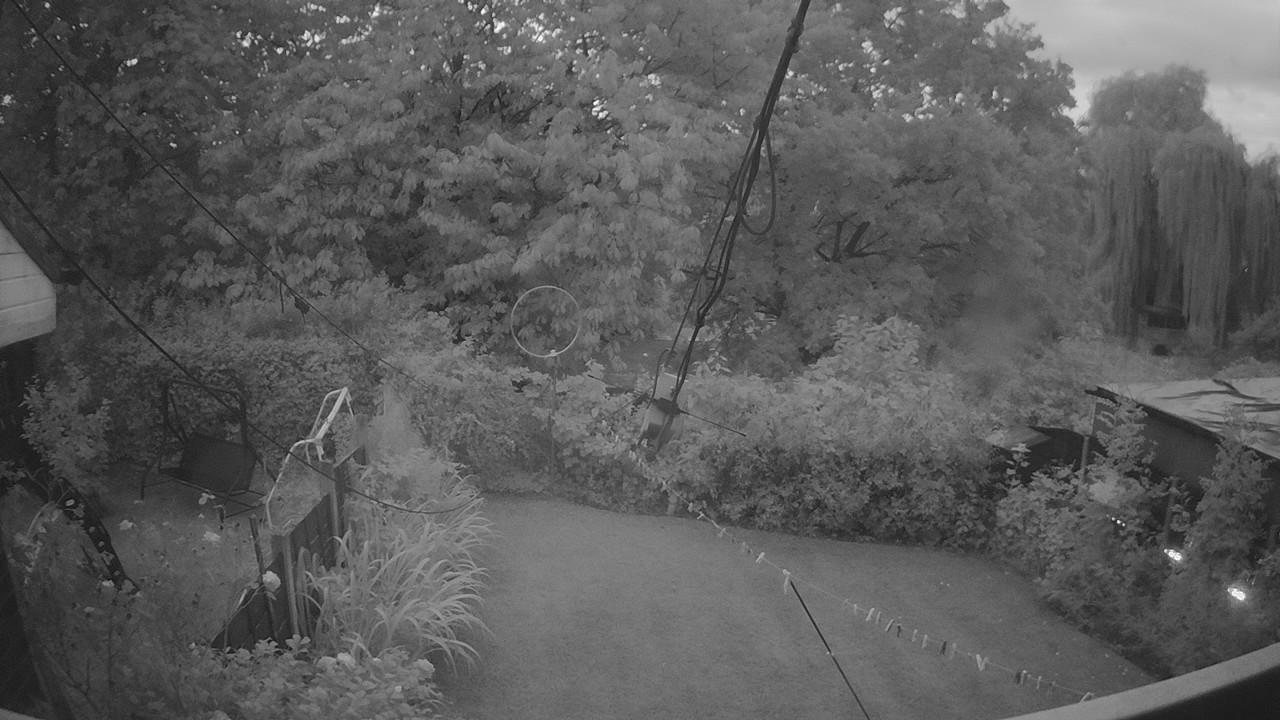 20260819_195201_cam1.jpg