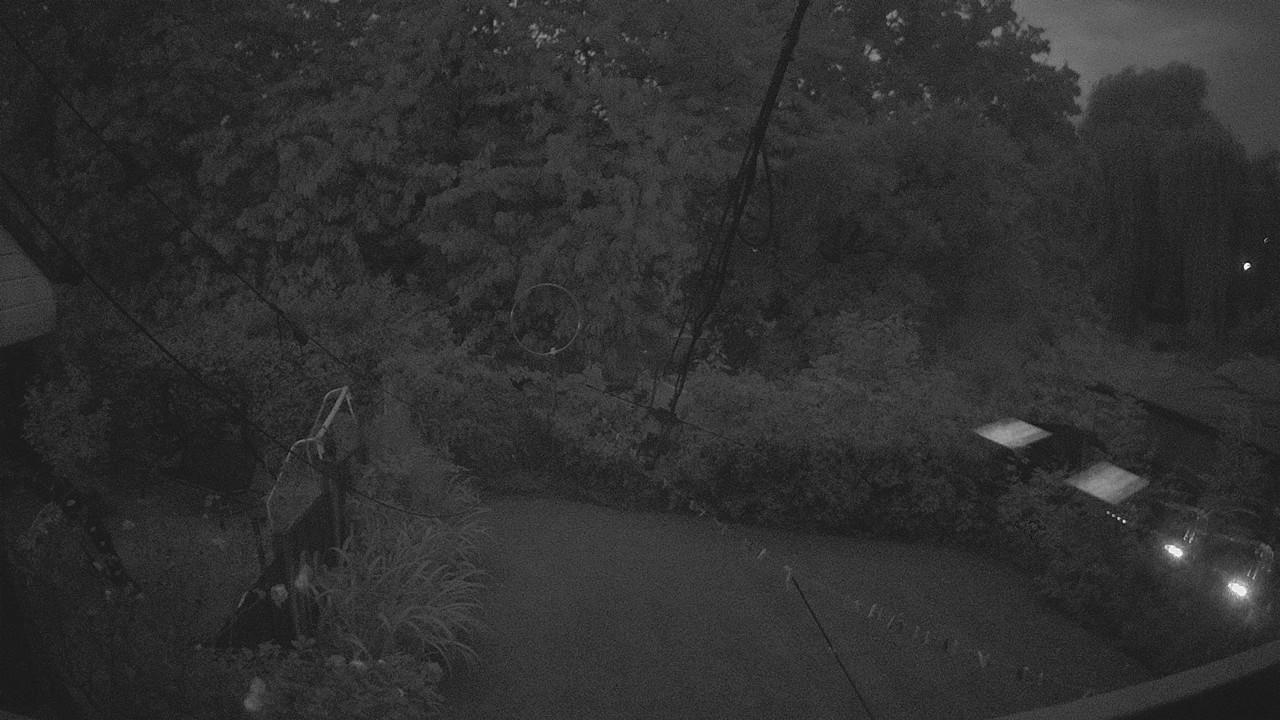 20260820_042104_cam1.jpg
