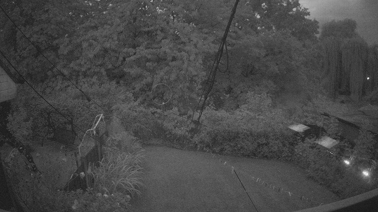 20260820_042549_cam1.jpg