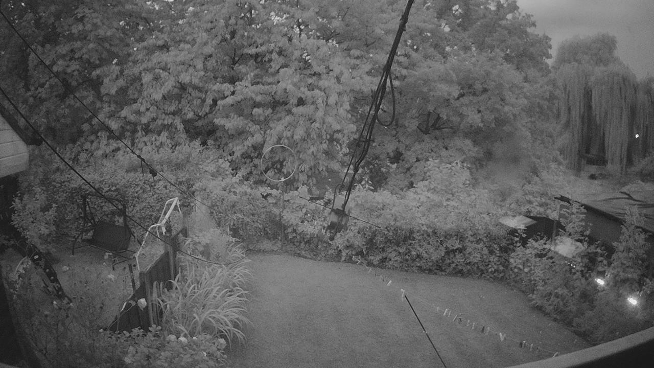 20260820_043033_cam1.jpg