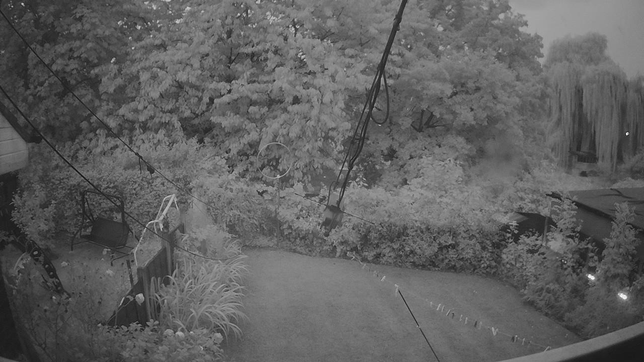 20260820_043517_cam1.jpg