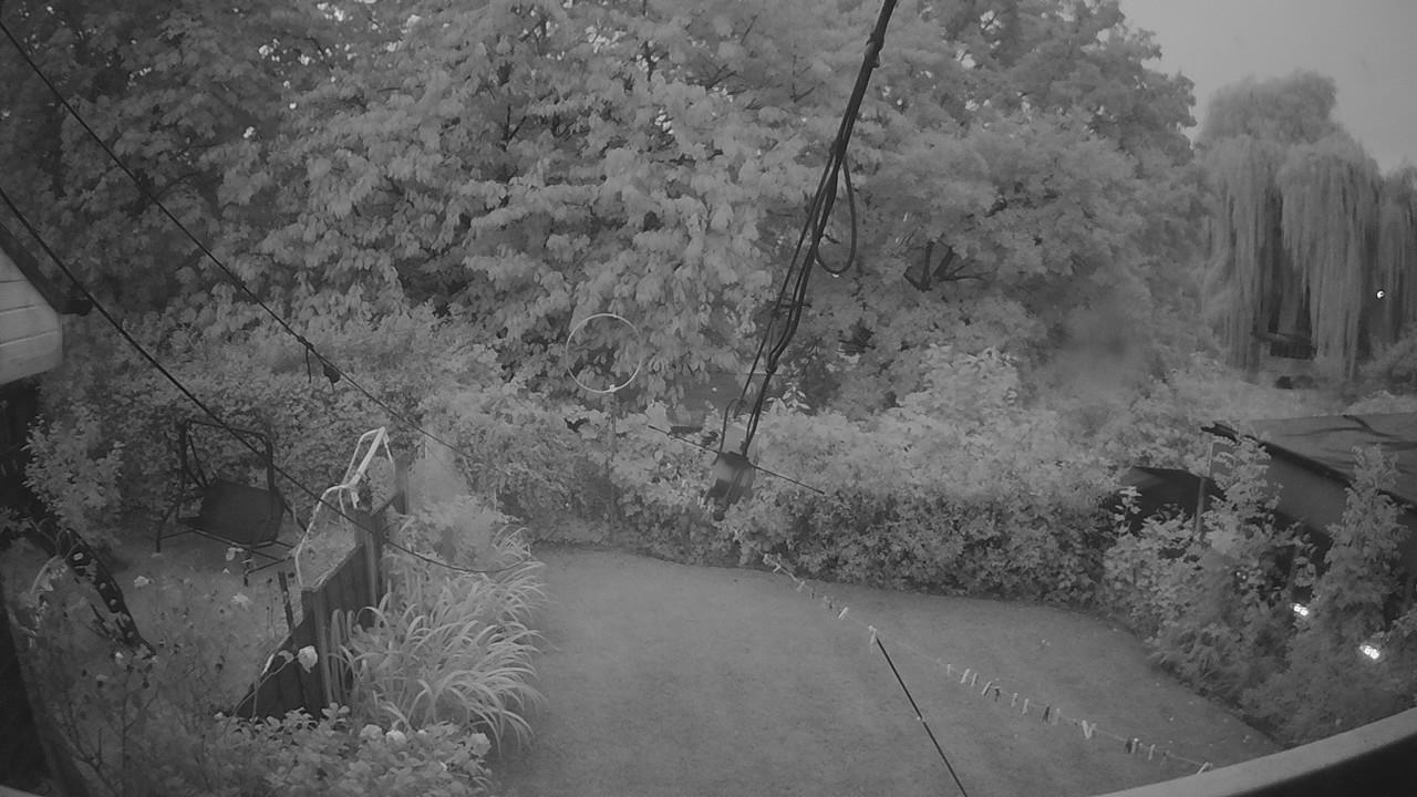20260820_044002_cam1.jpg