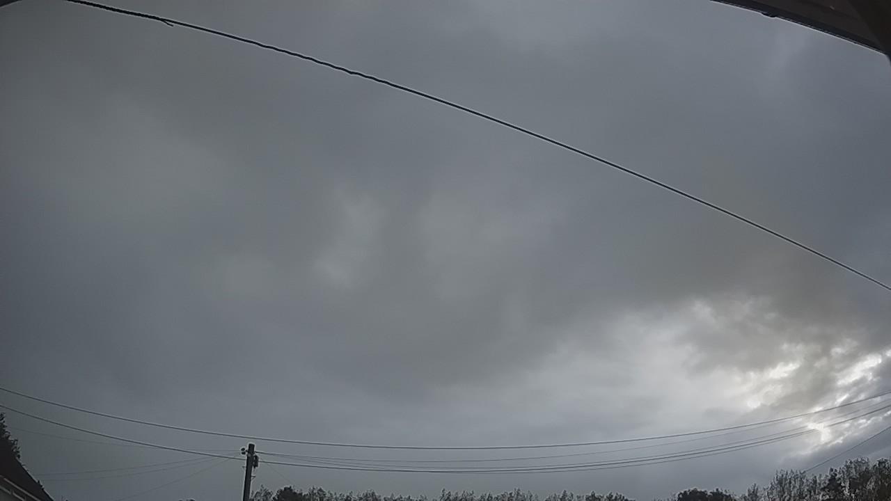 20260820_044449_cam2.jpg
