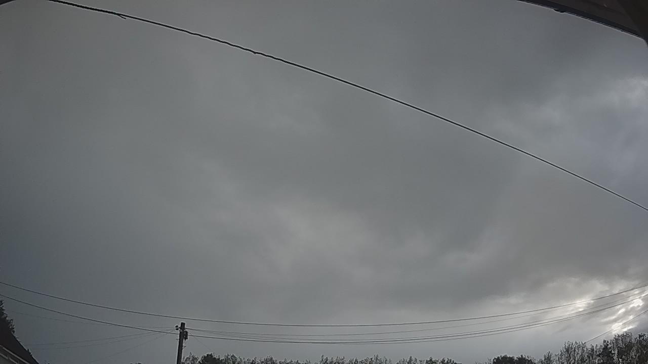 20260820_044934_cam2.jpg