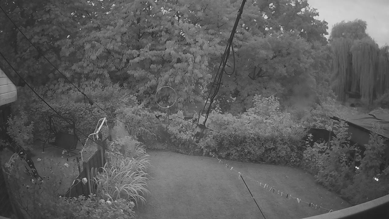 20260820_045418_cam1.jpg