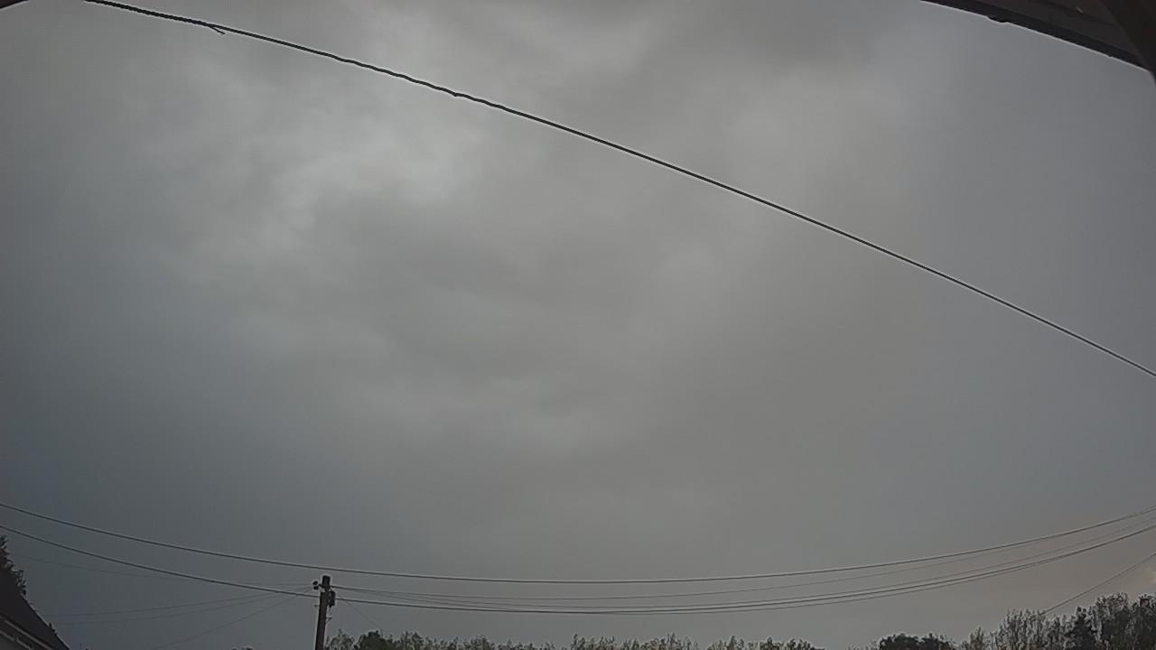 20260820_045905_cam2.jpg