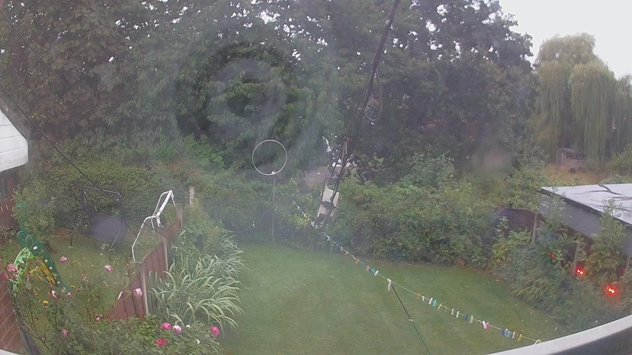 20260820_050349_cam1.jpg