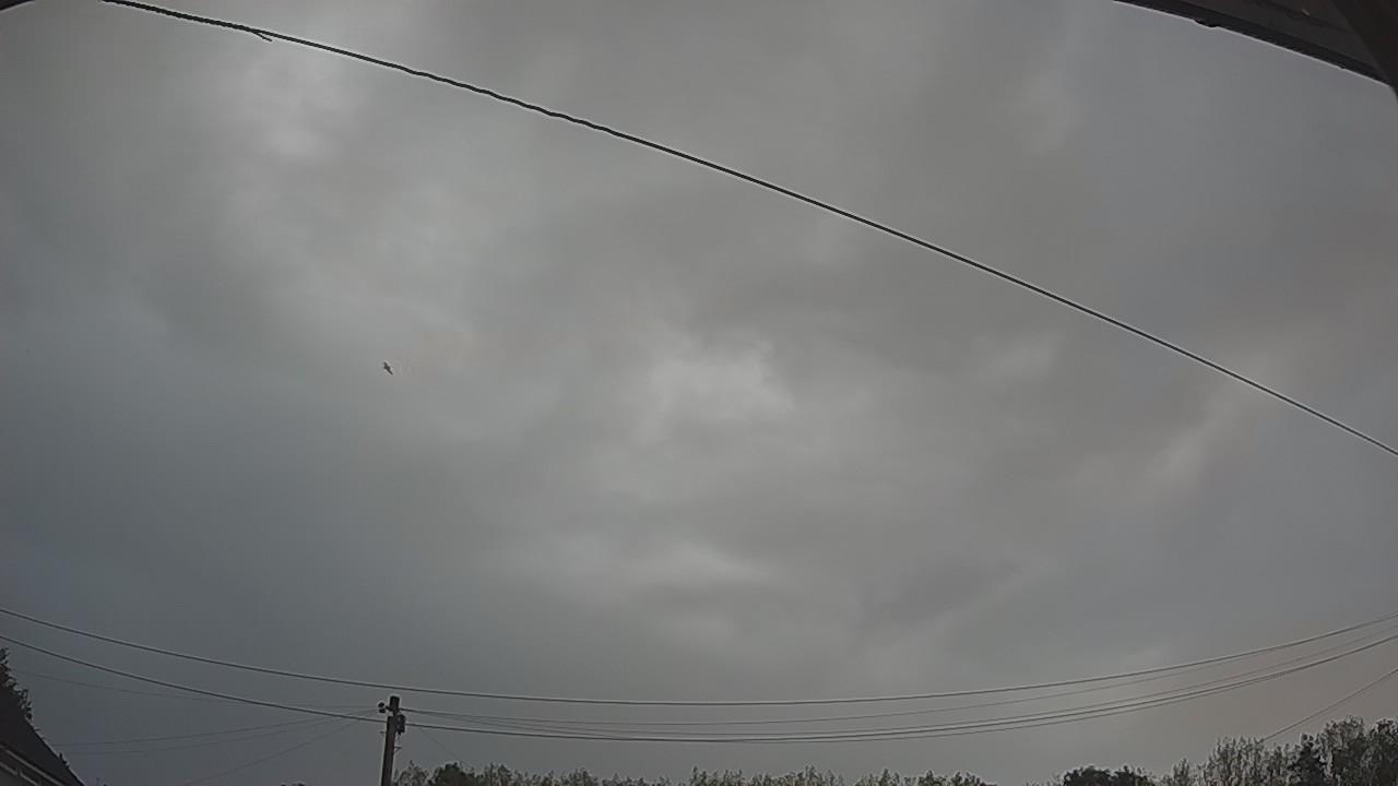 20260820_050350_cam2.jpg