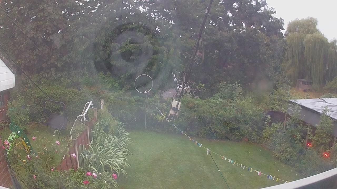 20260820_050835_cam1.jpg