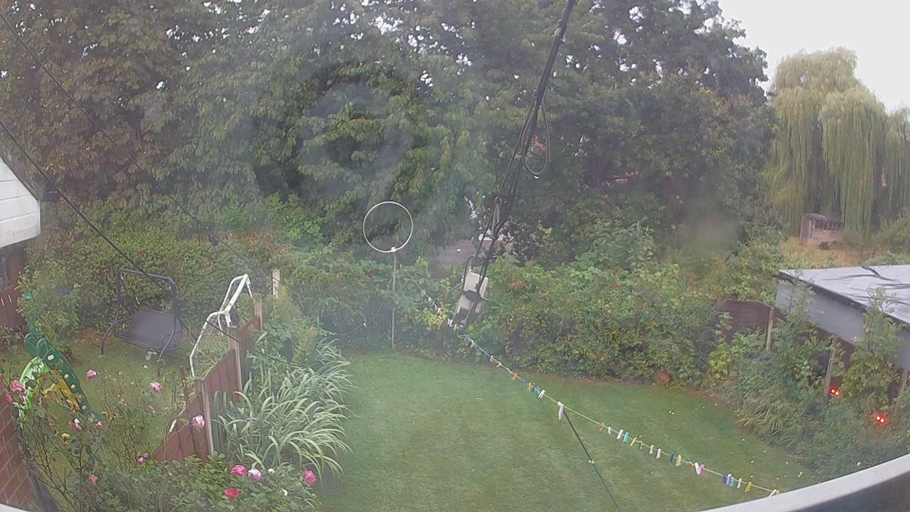 20260820_052250_cam1.jpg