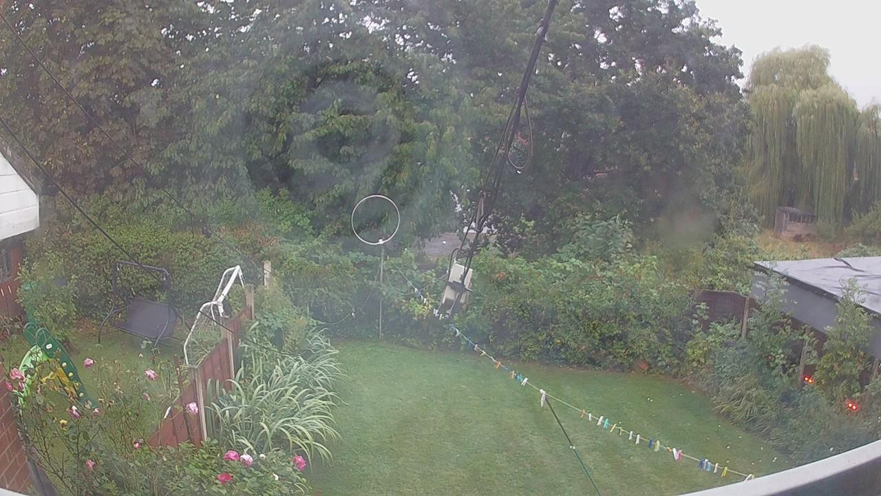 20260820_053229_cam1.jpg