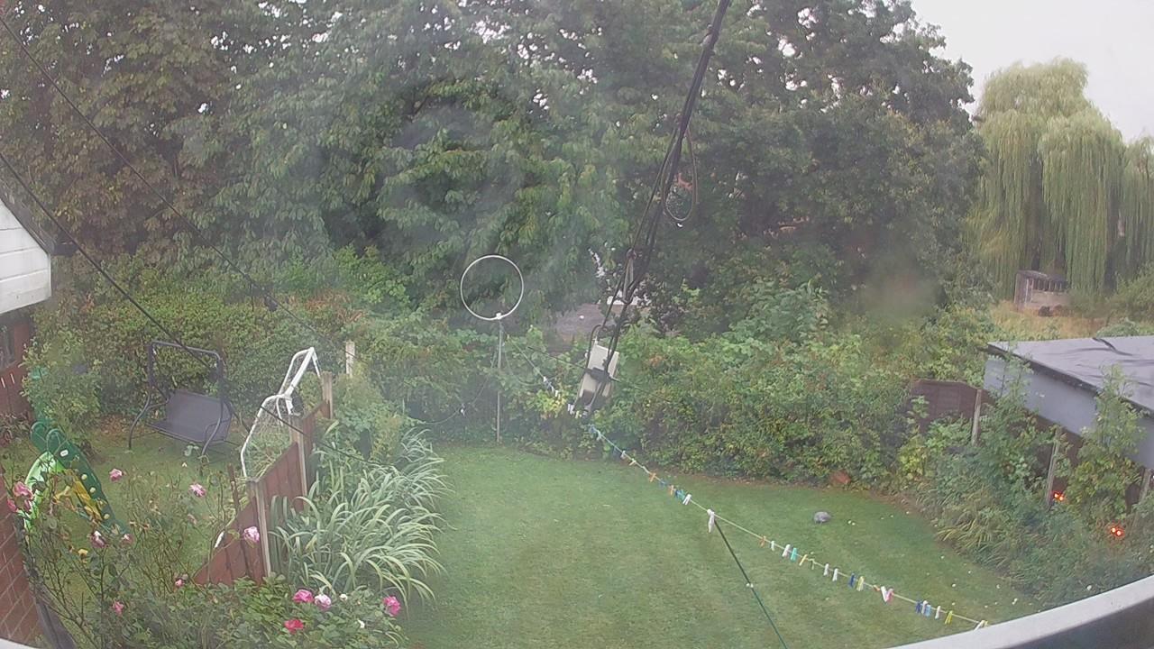 20260820_054216_cam1.jpg