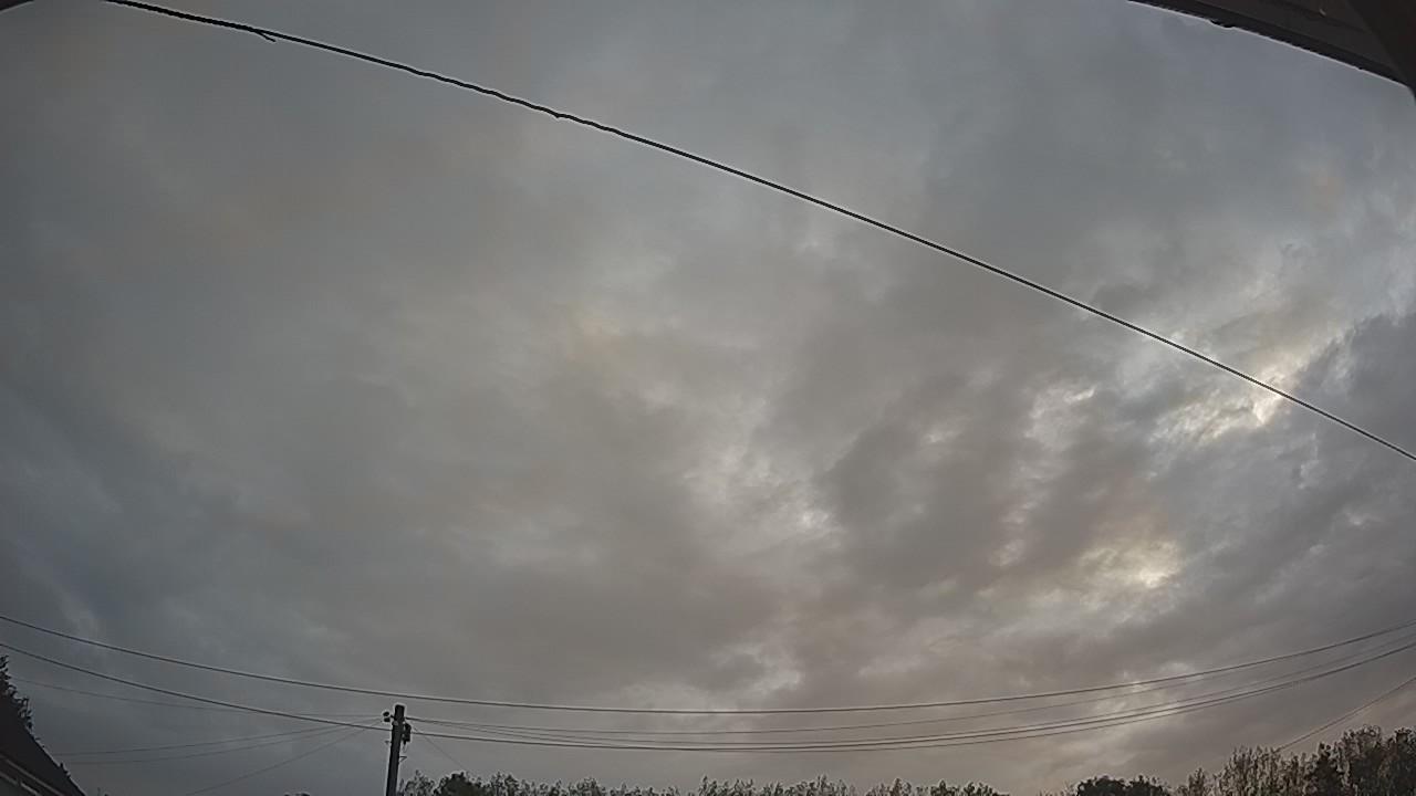 20260820_054217_cam2.jpg