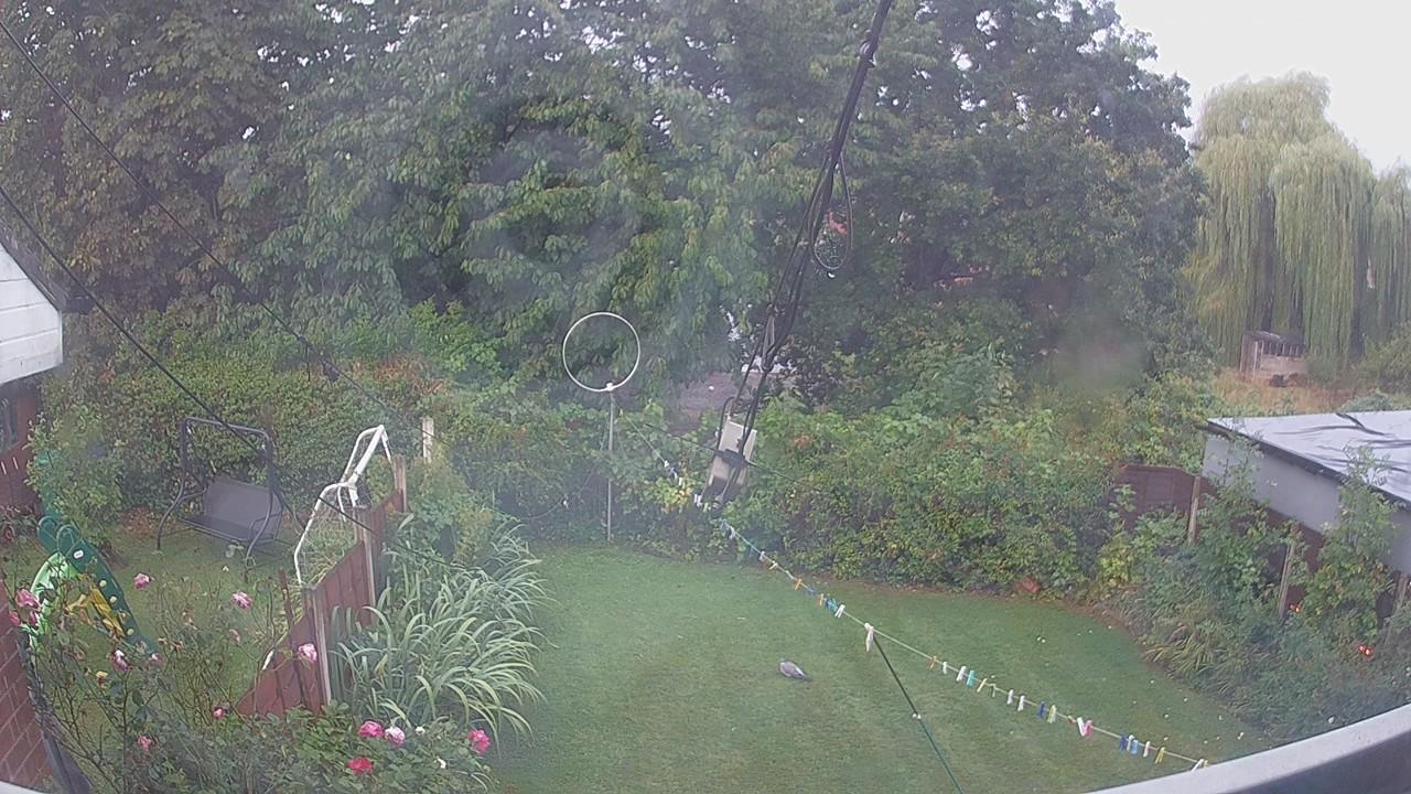 20260820_061110_cam1.jpg