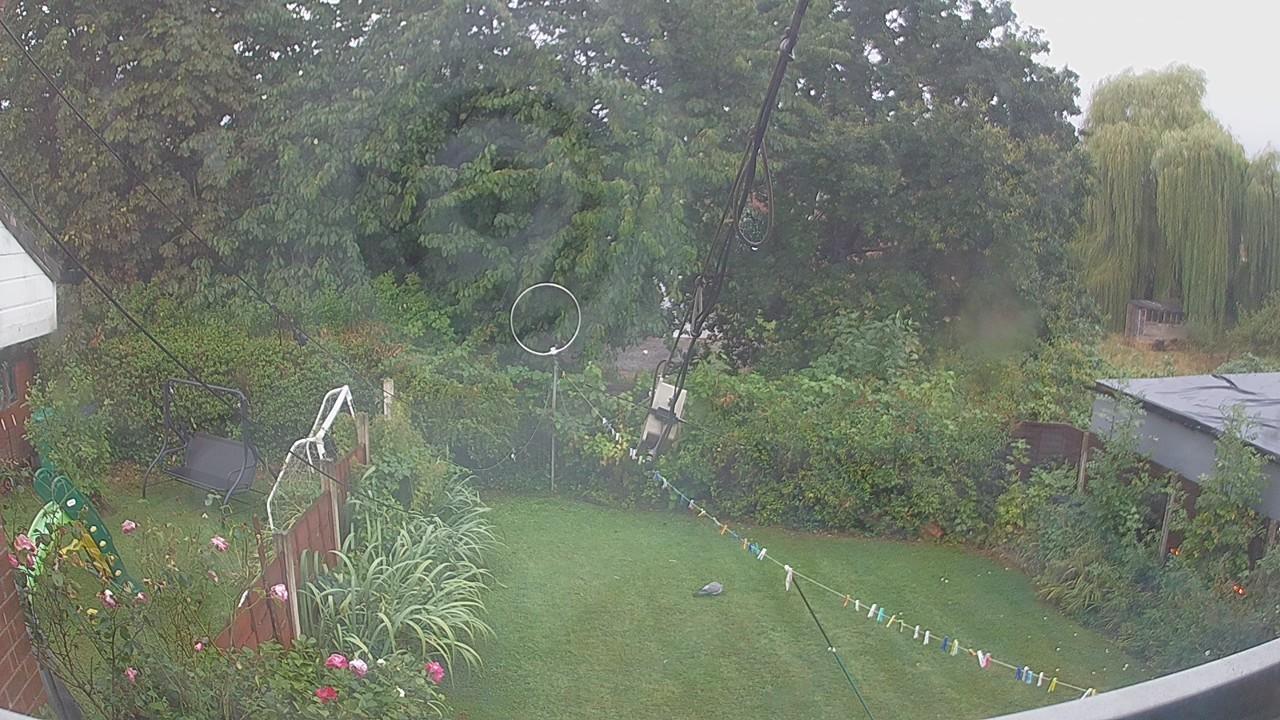 20260820_061554_cam1.jpg