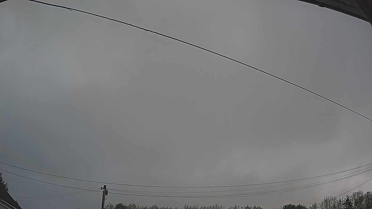 20260820_063000_cam2.jpg