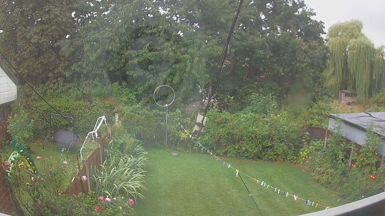 20260820_064346_cam1.jpg