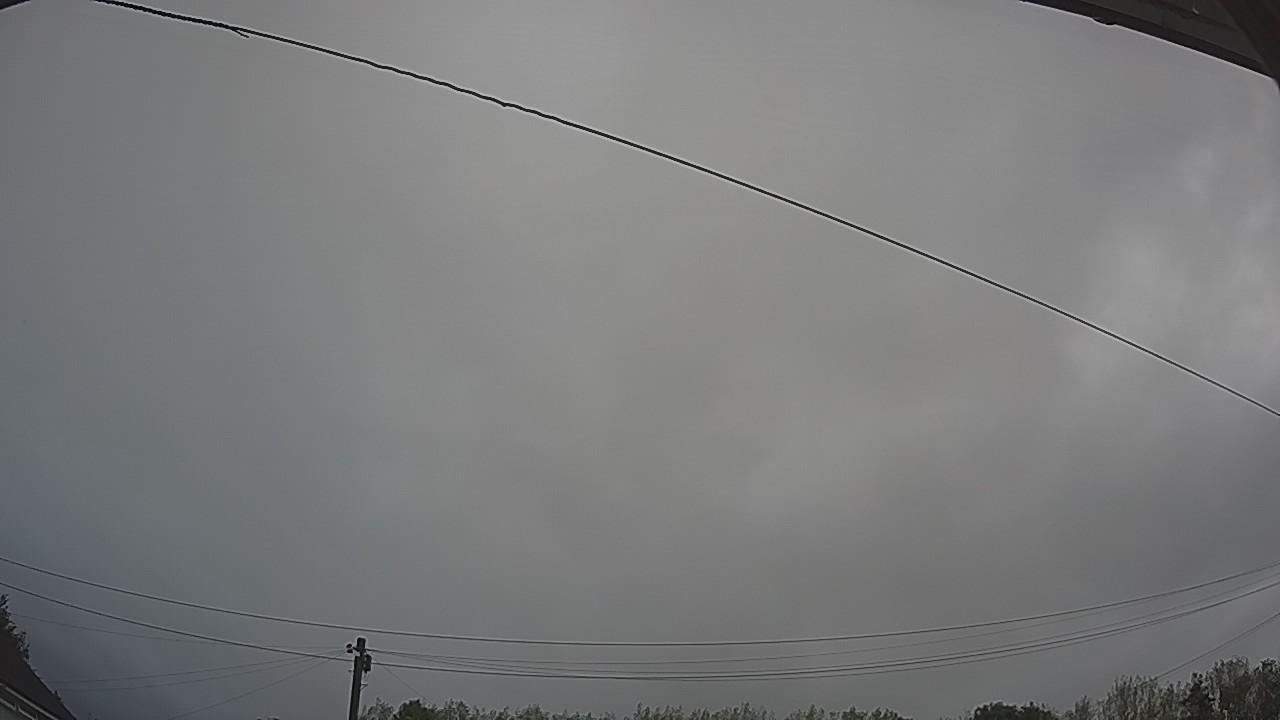 20260820_072922_cam2.jpg