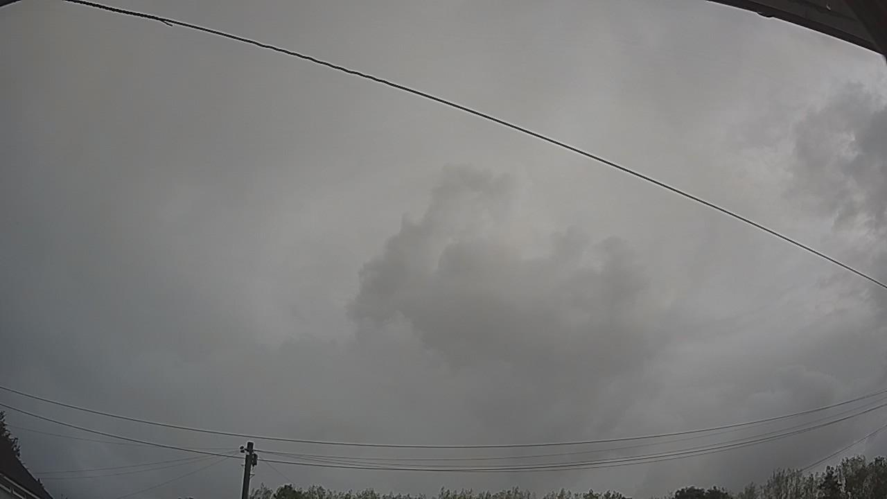 20260820_080953_cam2.jpg