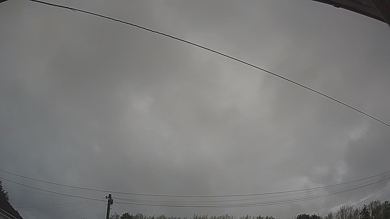 20260820_082245_cam2.jpg