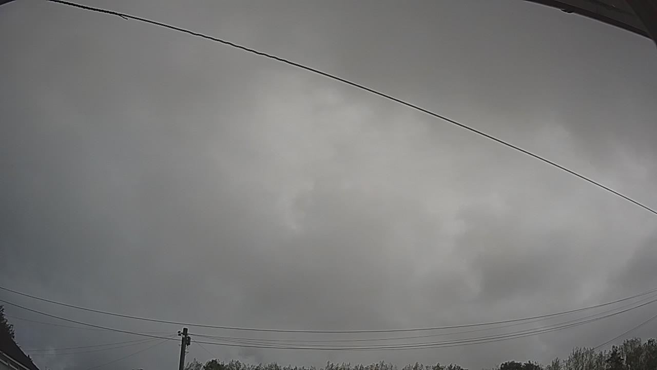 20260820_084449_cam2.jpg