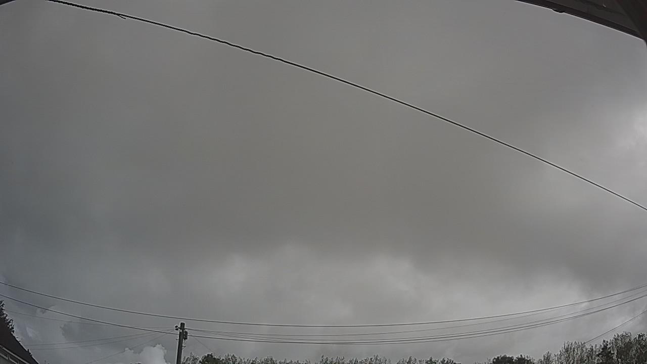 20260820_084916_cam2.jpg