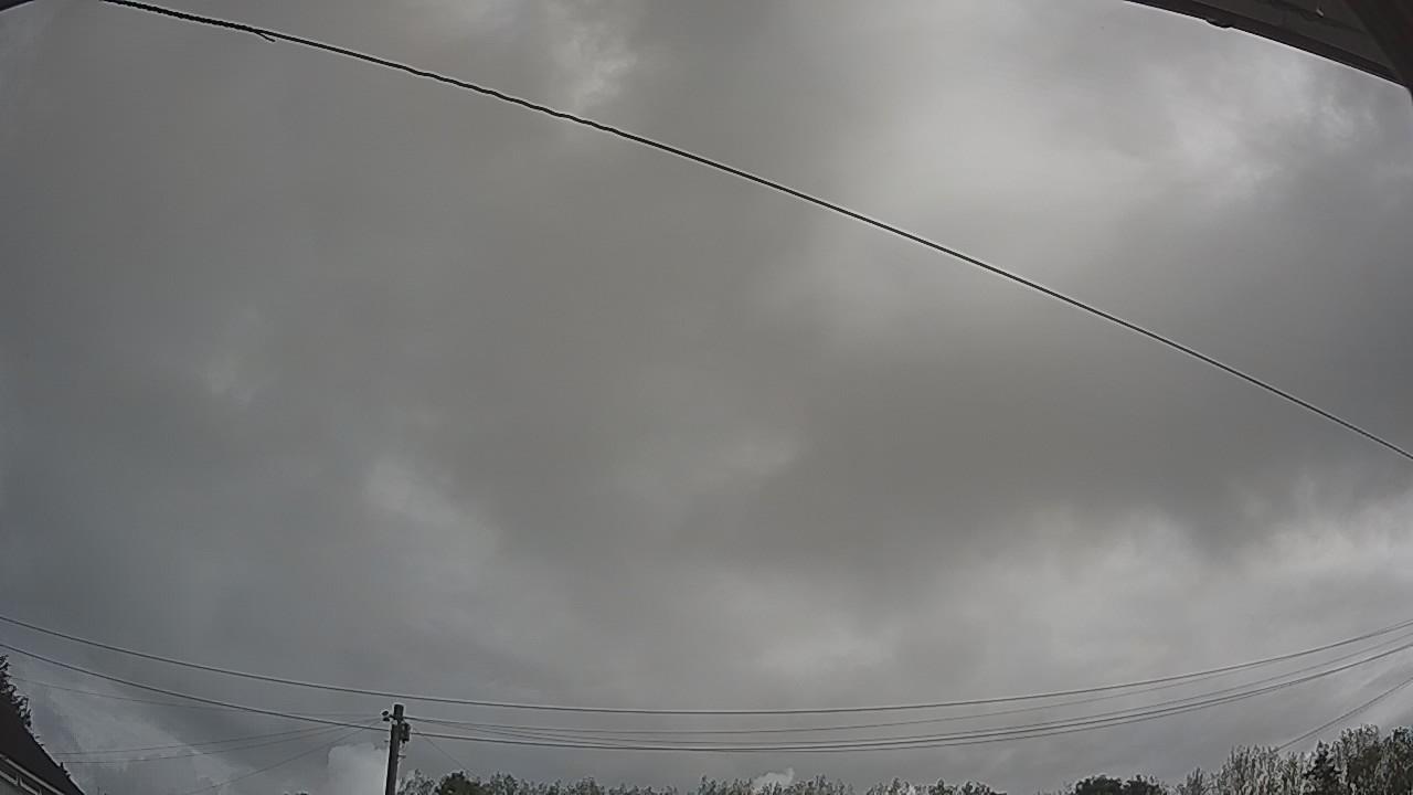 20260820_085342_cam2.jpg
