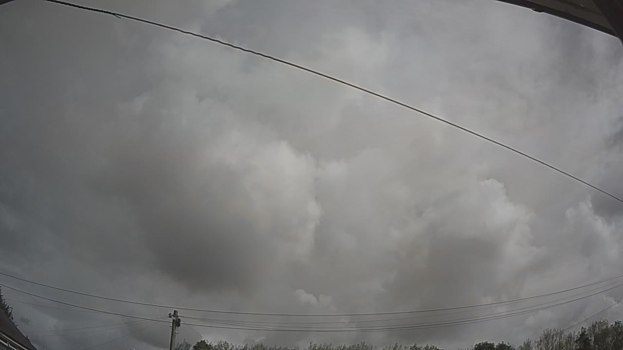 20260820_100314_cam2.jpg