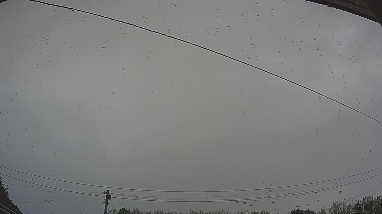 20260820_111009_cam2.jpg