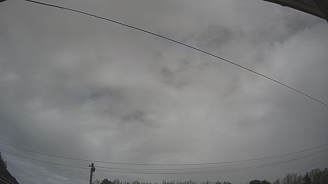20260820_115452_cam2.jpg