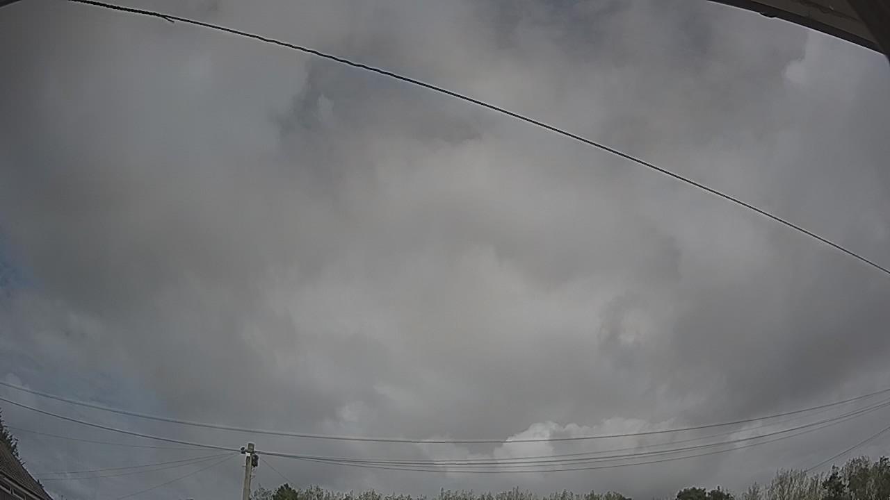 20260820_130434_cam2.jpg