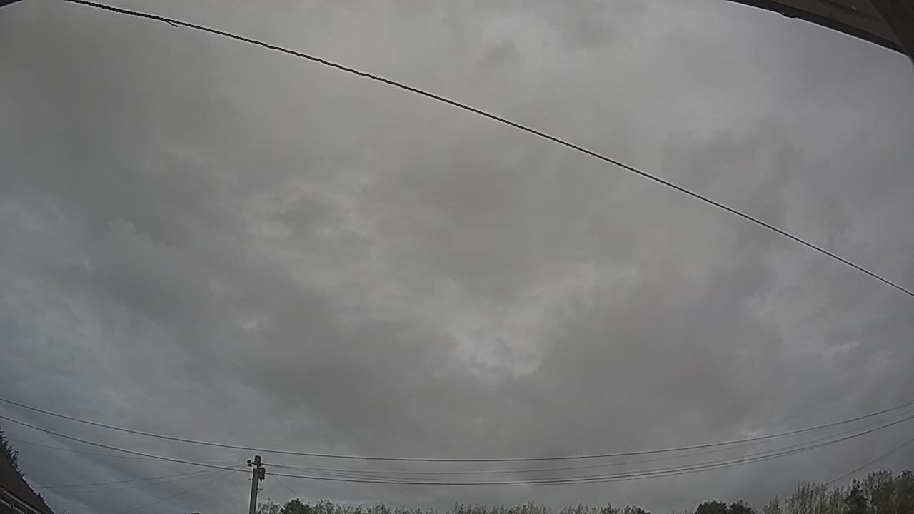20260820_135524_cam2.jpg