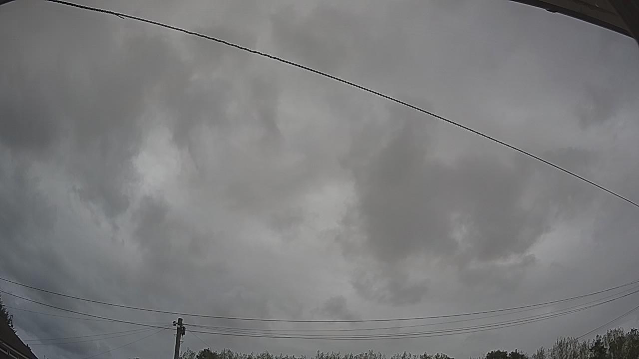 20260820_145001_cam2.jpg