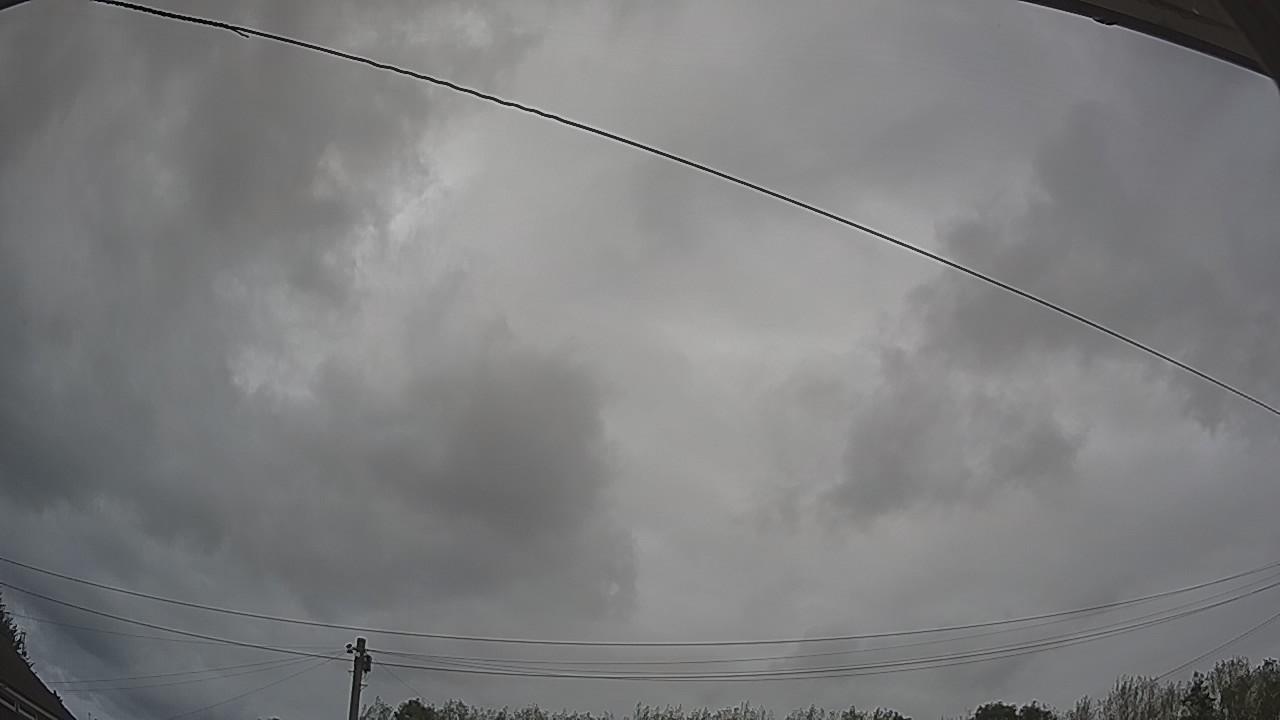 20260820_145249_cam2.jpg
