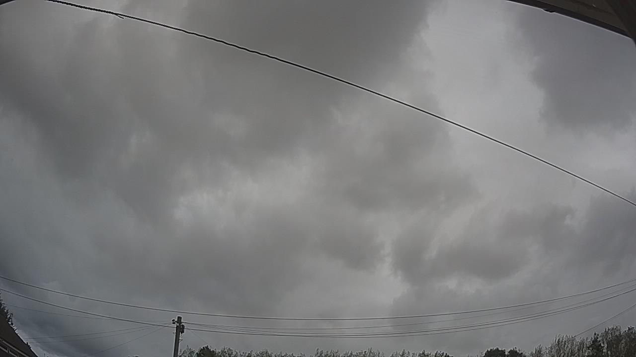 20260820_145538_cam2.jpg
