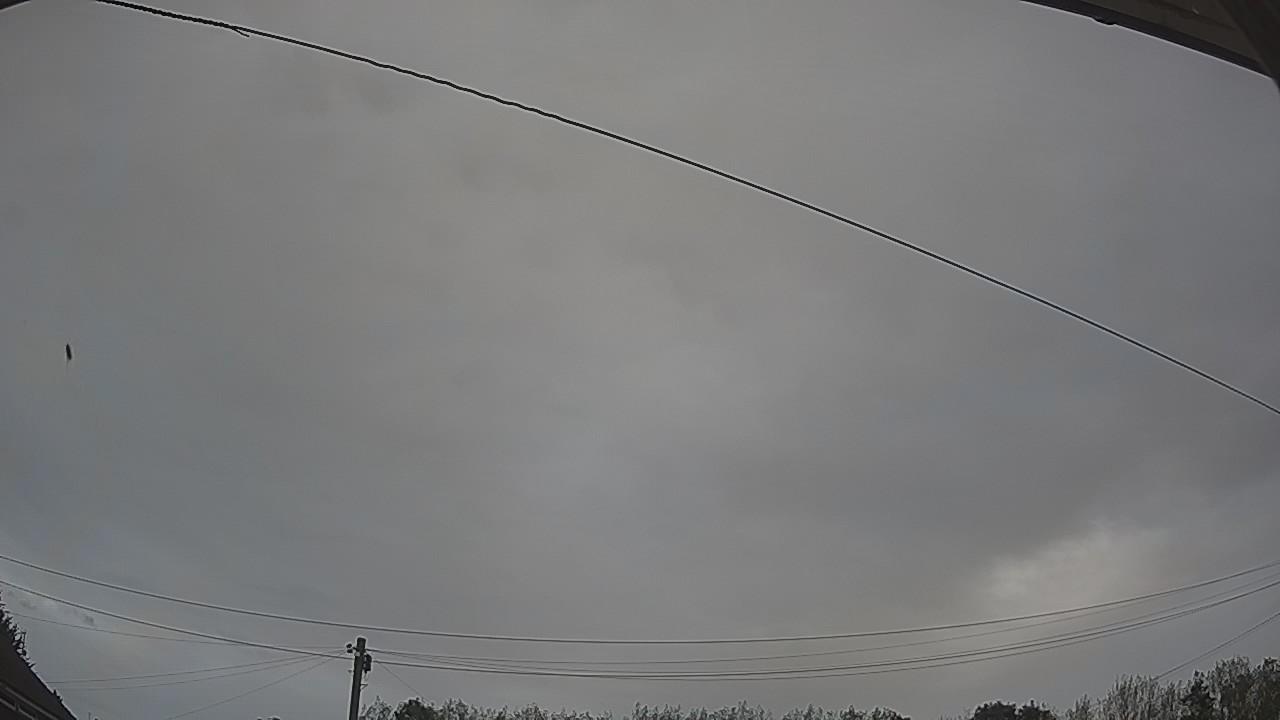 20260820_171350_cam2.jpg