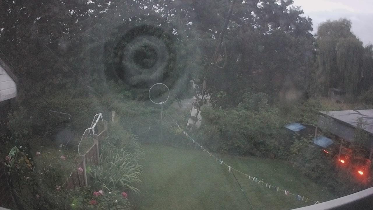 20260820_194508_cam1.jpg