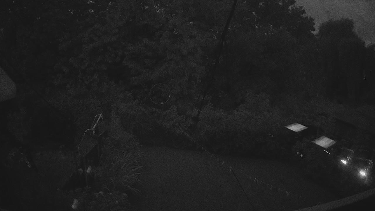 20260820_200332_cam1.jpg