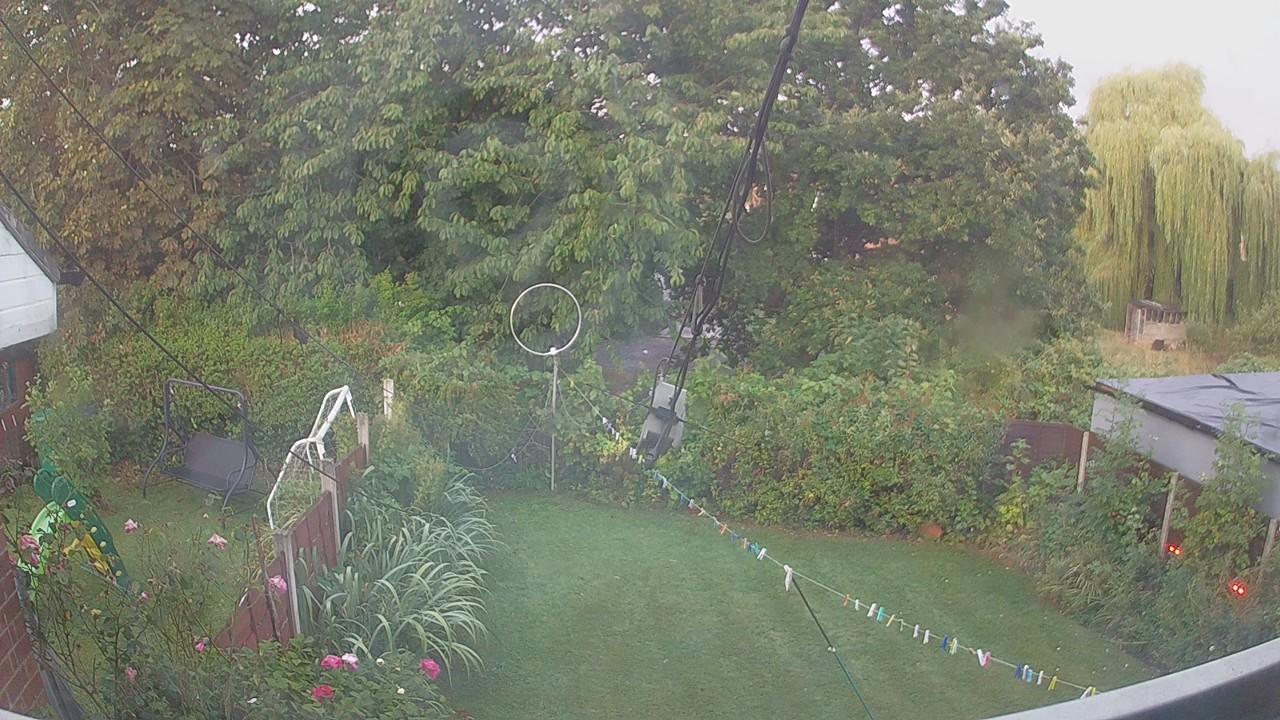 20260821_050433_cam1.jpg