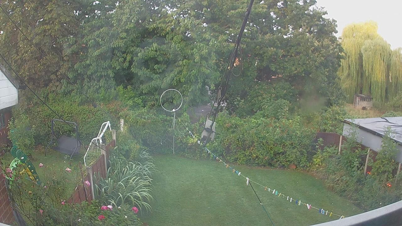 20260821_053107_cam1.jpg