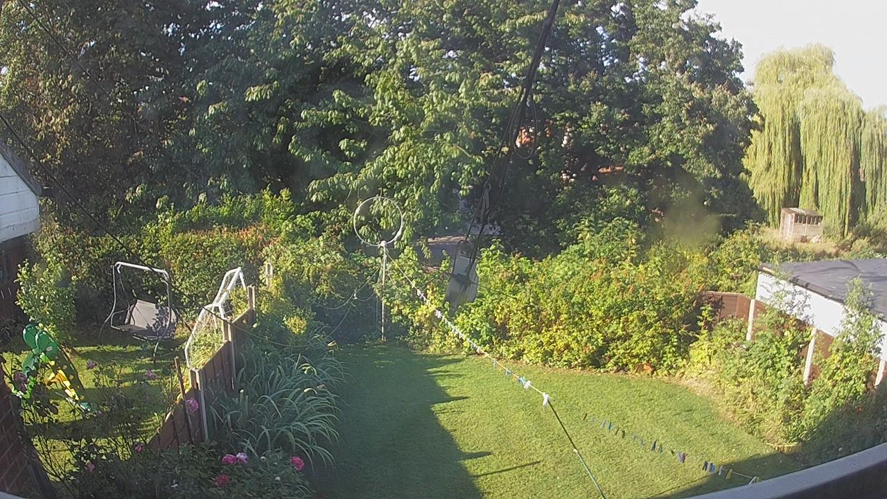 20260821_074835_cam1.jpg